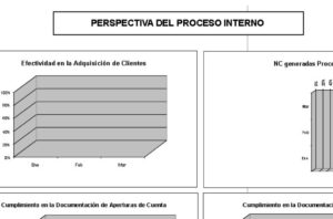 Perspectiva del proceso interno