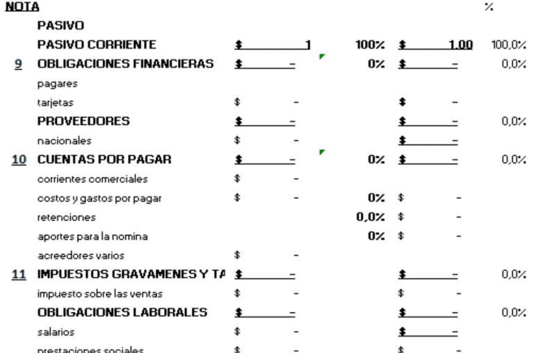 plantilla-estados-financieros
