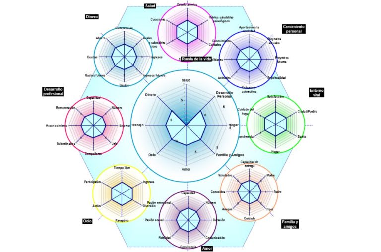 resultados plantilla excel rueda de la vida